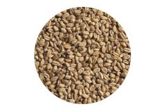 Солод пшеничный Wheat ЕВС 4-6 (Курский солод) 1 кг